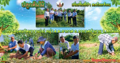 ปลูกต้นไม้ ปลูกต้นไม้