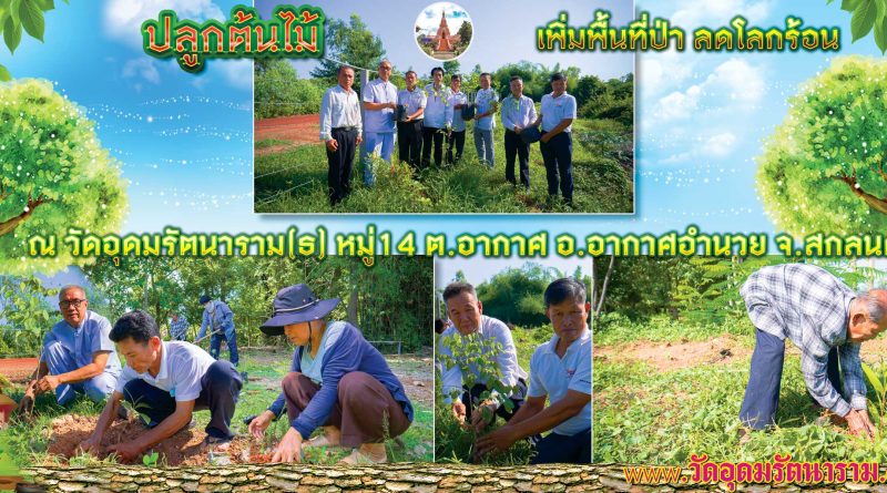 ปลูกต้นไม้